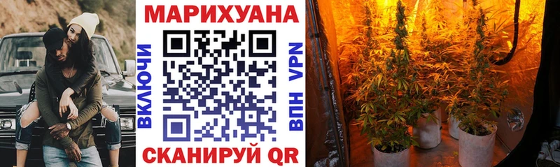 Марихуана VHQ Черноголовка